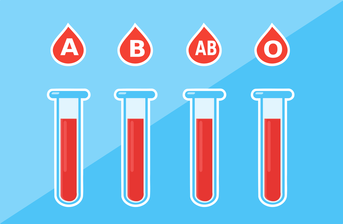 Istnieją 4 grupy krwi – A, B, AB, O